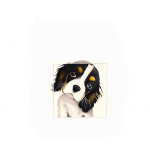 6. F 434 ct Cavalier King Charles Spaniel