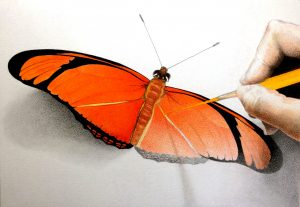 Zegel 1 Dryas iulia Barbulete Flambeu Zegel kleur FINAL