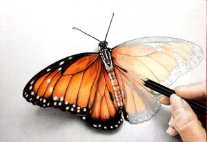 Zegel 5 Danaus eresimus zegel kleur FINAL