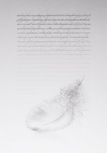 Duck Down Feather oke