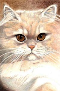 88 Perzian Shaded Cameo 95 ct 1