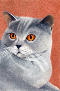 British Blue 50 ct 1