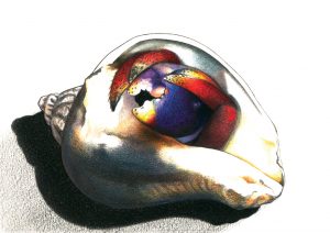 Soldachi-StEustatius